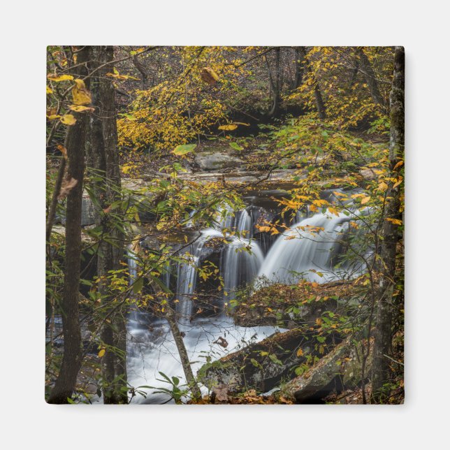 Dunloup Creek Falls | West Virginia Magnet (Front)