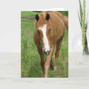 Dunnit Card