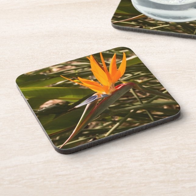 "Durable Plastic Coaster set Bird of Paradise (Left Side)