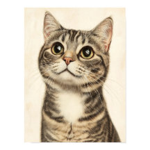 Dürer’s Tabby Treasures 4
