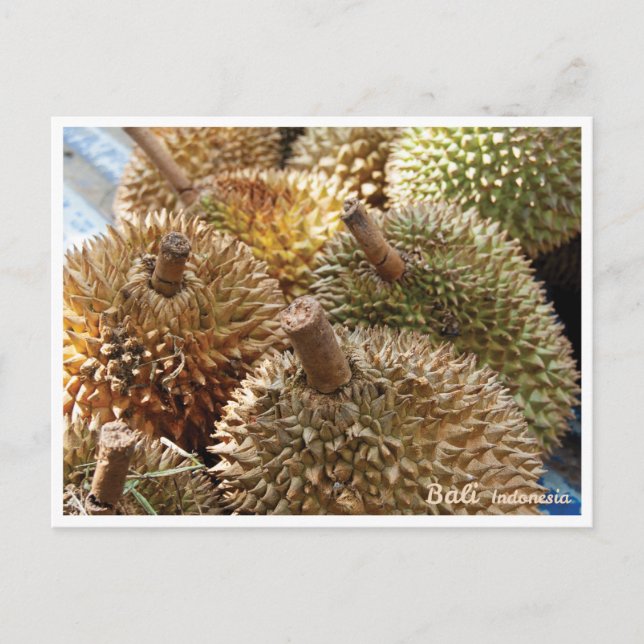 Durian Bali - Travel postcard (Front)
