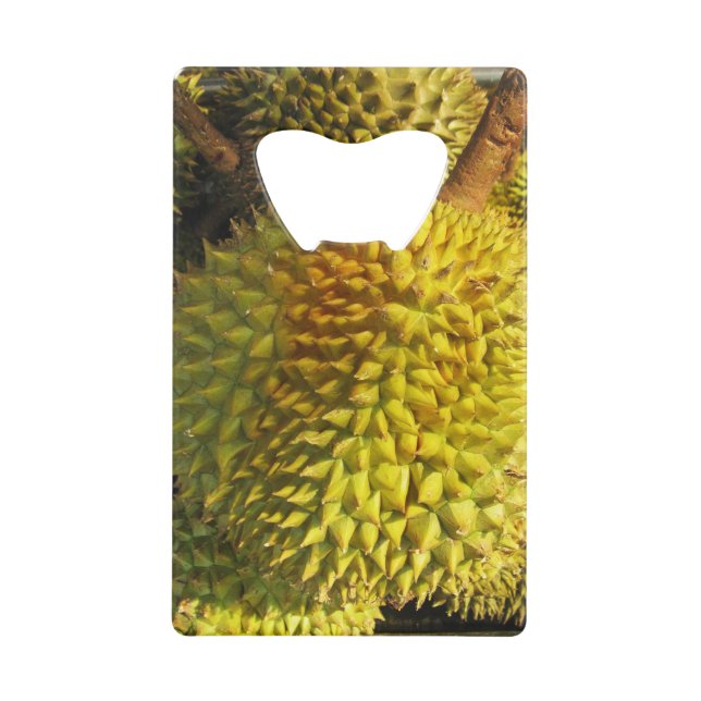 Durian Fruit (Front)