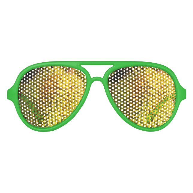 Durian Fruit Aviator Sunglasses (Front)