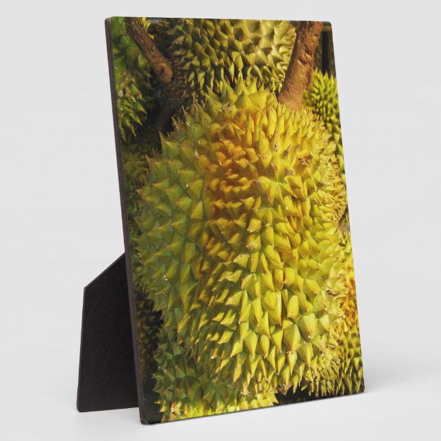Durian Fruit Plaque (Side)