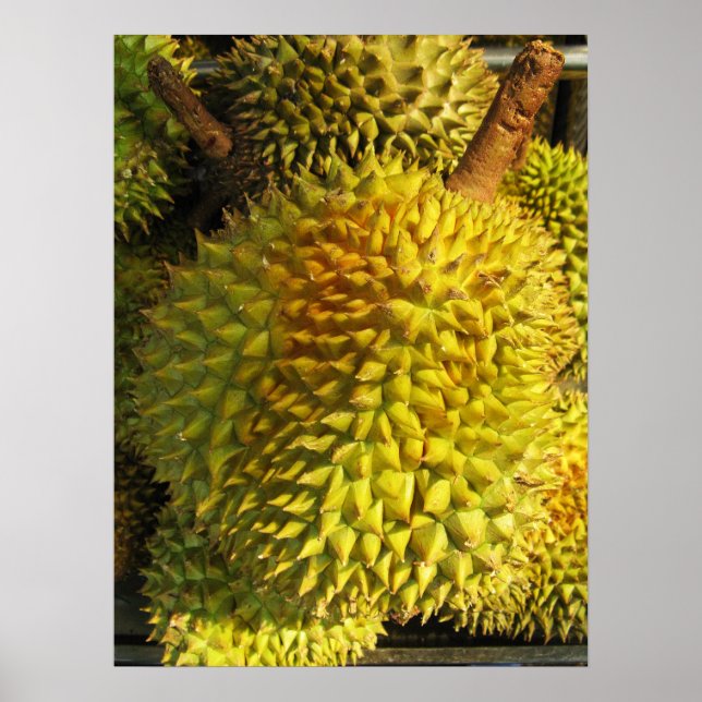 Durian Fruit Poster (Front)