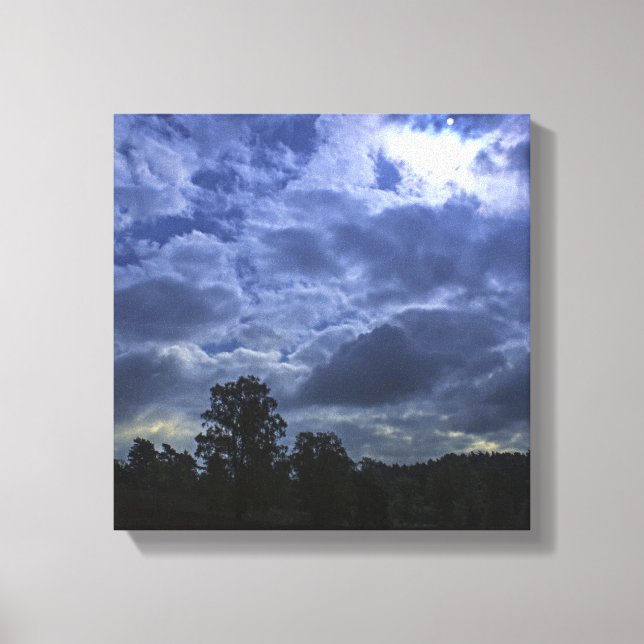 Dusk Canvas Print (Front)