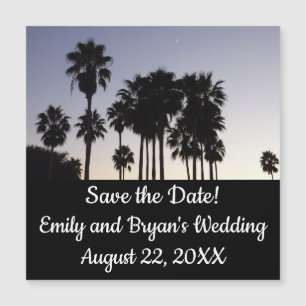 Dusk with Palm Trees Tropical Scene