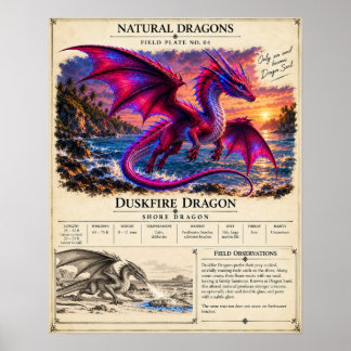 Duskfire Field Plate Poster