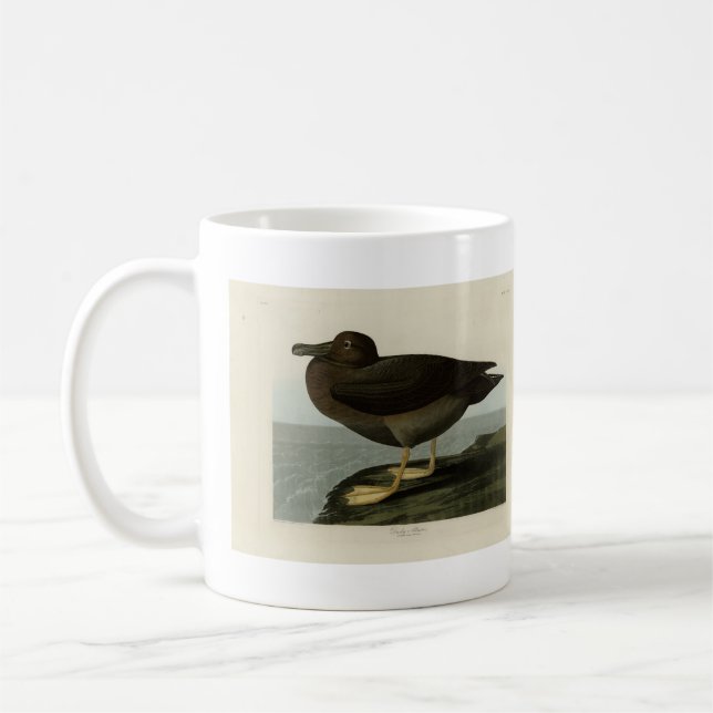 Dusky Albatross from Audubon's Birds of America Coffee Mug (Left)