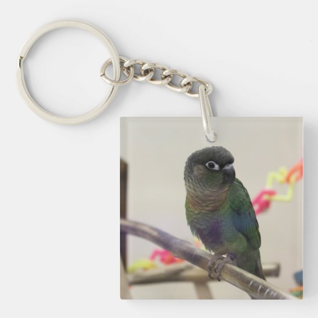 Dusky conure key ring (Front)