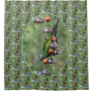 Dusky Conure Parrot Upside Down Bird  Shower Curtain