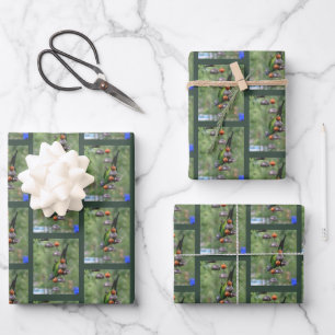 Dusky Conure Parrot Upside Down Bird Wrapping Paper Sheet