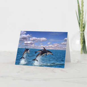 Dusky Dolphins at Play Thank You Card