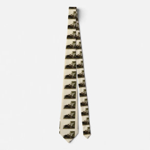 Dusky Duck - from John Audubon's Birds of America Tie