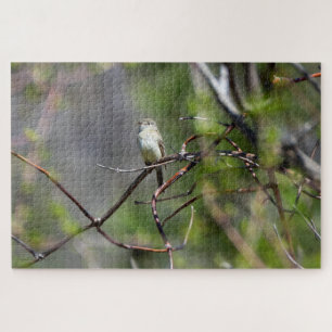 Dusky Flycatcher Jigsaw Puzzle