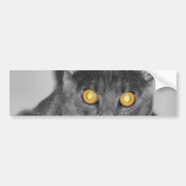Dusky Gold Bumper Sticker (Front)
