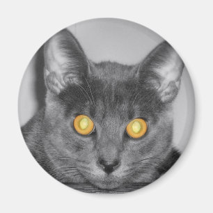 Dusky Gold Magnet
