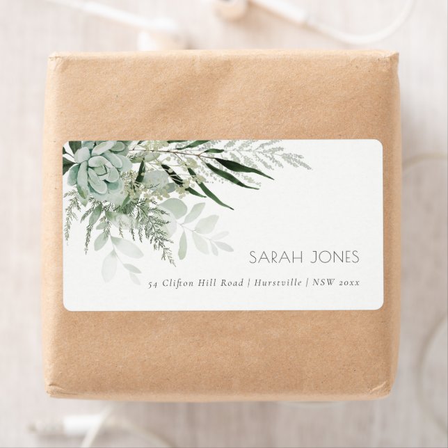 Dusky Green Leafy Fern Succulent Foliage Address (Insitu)