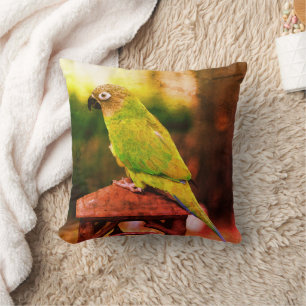 Dusky Headed Conure Parrot Abstract Cushion