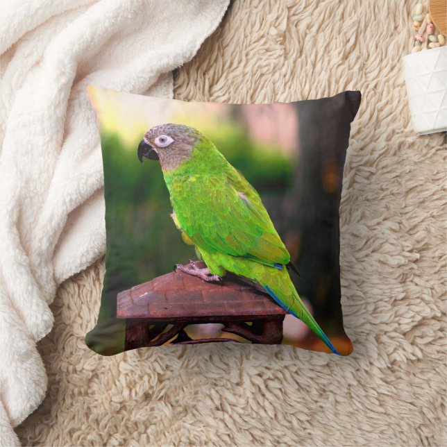 Dusky Headed Conure Parrot   Cushion (Blanket)