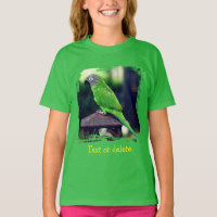 Dusky Headed Conure Parrot Personalized