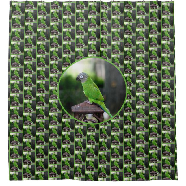 Dusky Headed Conure Parrot  Shower Curtain (Front)