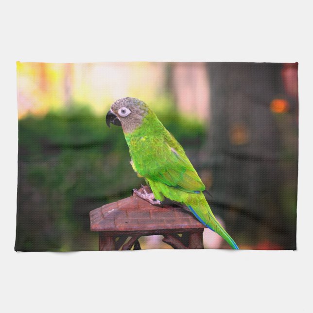 Dusky Headed Conure Parrot   Tea Towel (Horizontal)