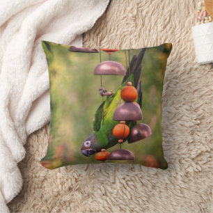 Dusky Headed Conure Parrot Upside Down Cushion