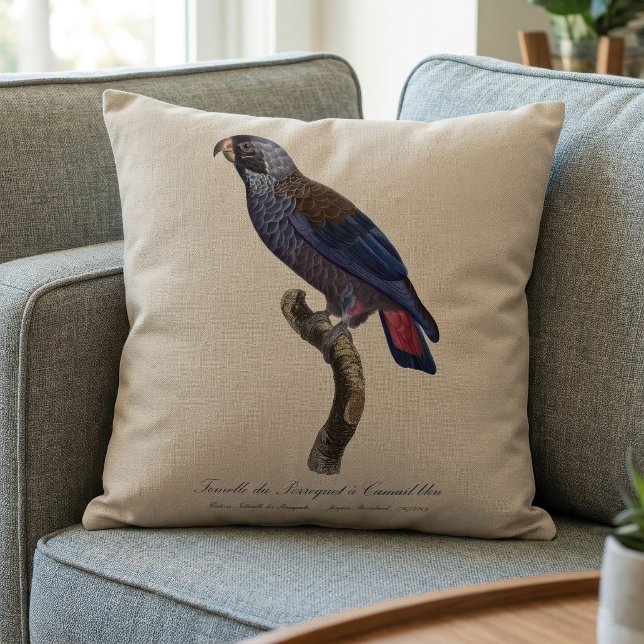 Dusky Parrot or Dusky Pionus, Pionus fuscus Cushion (Dusky Parrot or Dusky Pionus, Pionus fuscus. Throw Pillow)