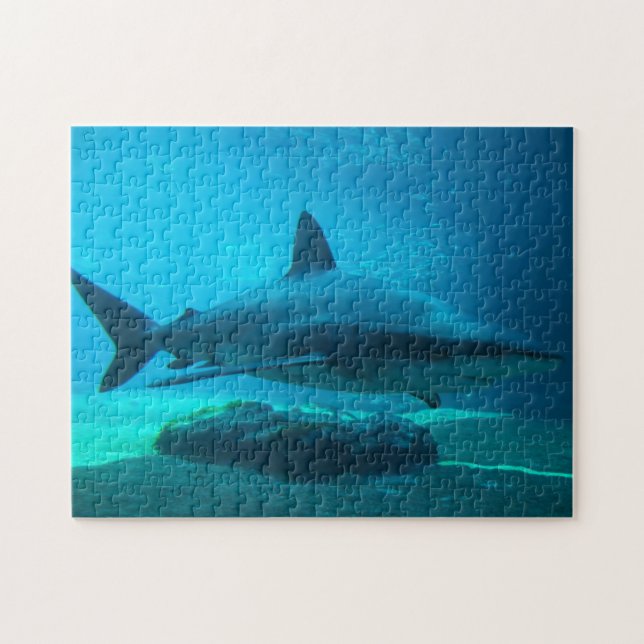 Dusky Shark (Carcharhinus Obscurus), Ushaka Jigsaw Puzzle (Horizontal)