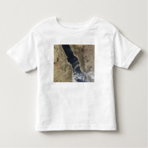 Dust plumes blow off the coast of Saudi Arabia Toddler T-Shirt
