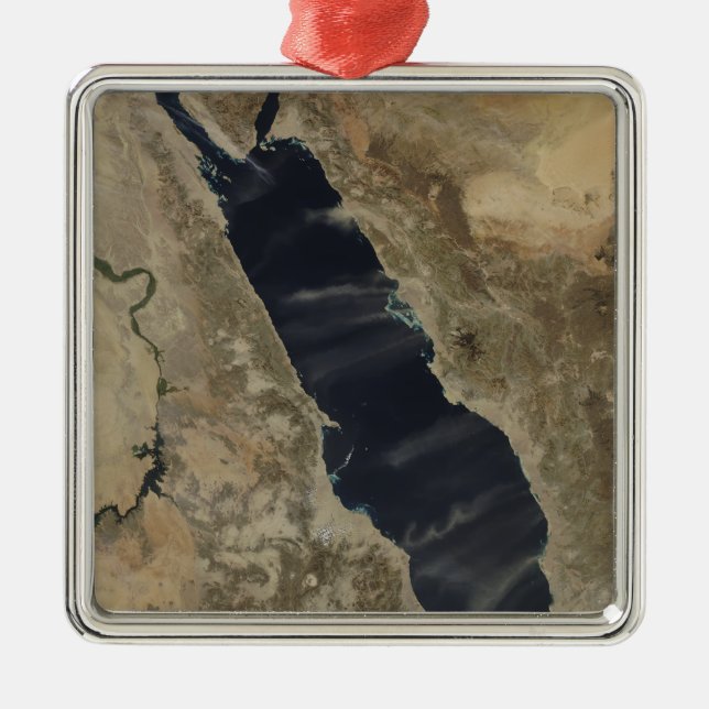 Dust plumes over the Red Sea Metal Tree Decoration (Front)