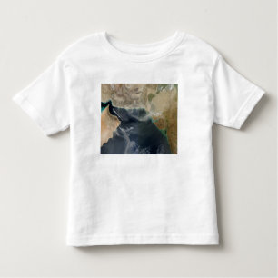 Dust storms toddler T-Shirt