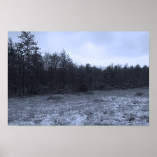 Dusting of Snow at the Bog Poster