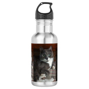 Dusty 532 Ml Water Bottle