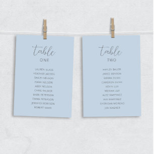 Dusty Blue Wedding Table Seating Chart Cards