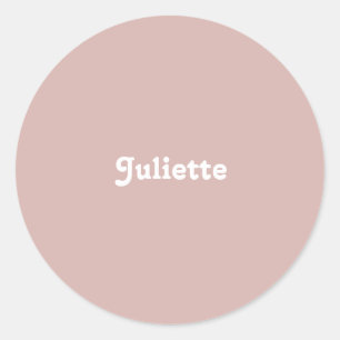 Dusty Blush Classic Round Sticker