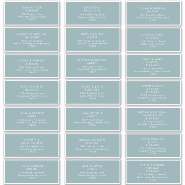 Dusty Boho | Blue Guest Address Labels (Front)
