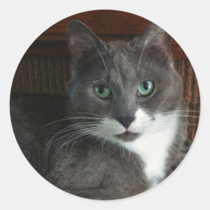 Dusty Classic Round Sticker