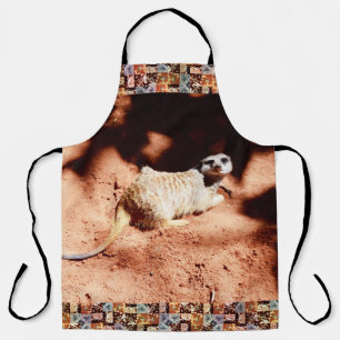 Dusty Discoveries: Meerkat with Dirt on Its Nose Apron