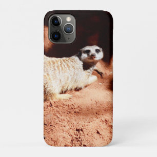 Dusty Discoveries: Meerkat with Dirt on Its Nose iPhone 11 Pro Case