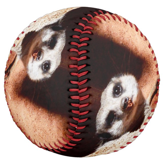 Dusty Discoveries: Meerkat with Dirt on Its Nose Softball (Angled)
