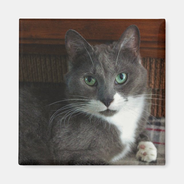 Dusty Magnet (Front)