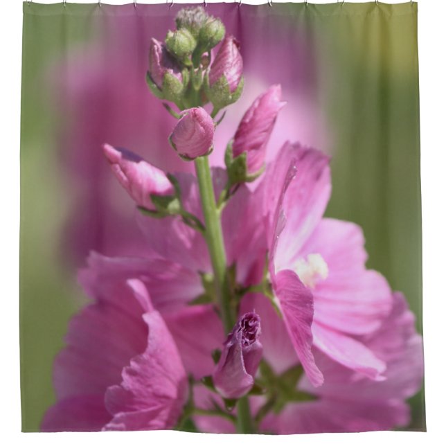Dusty Mauve Shower Curtain (Front)