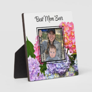 Dusty pink blue yellow green floral hydrangeas  plaque