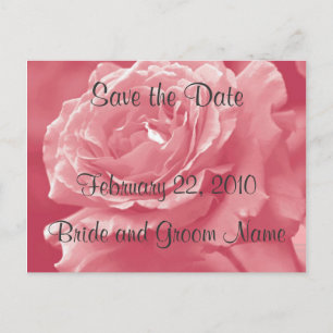 Dusty Pink Rose Save the Date Postcard
