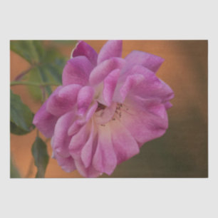 Dusty Pink Rose Tissue Paper