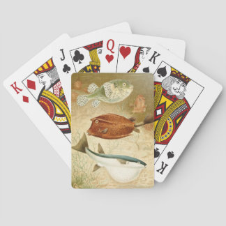 Dutch Aquatic Playing Cards
