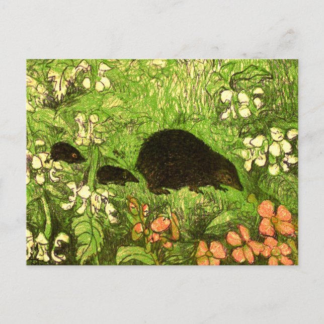 Dutch Art Nouveau Hedgehog and Babies Postcard (Front)