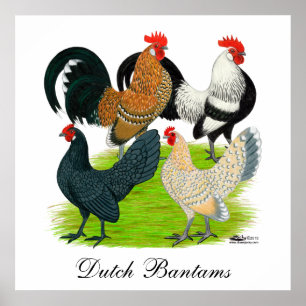 Dutch Bantam Quartet Poster